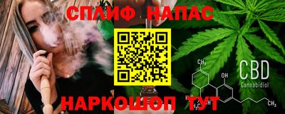 apvp Краснодар