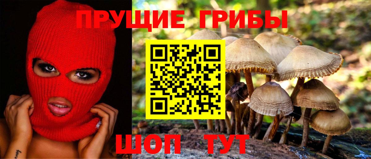Комсомольск-на-Амуре  даркнет сайт  Вход с VPN  Псилоцибиновые грибы ЛСД 
